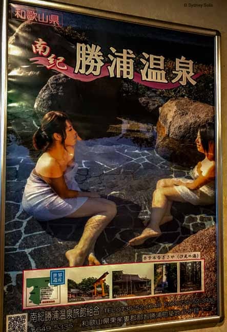 Poster for Nigisaya Hotel and onsen. 