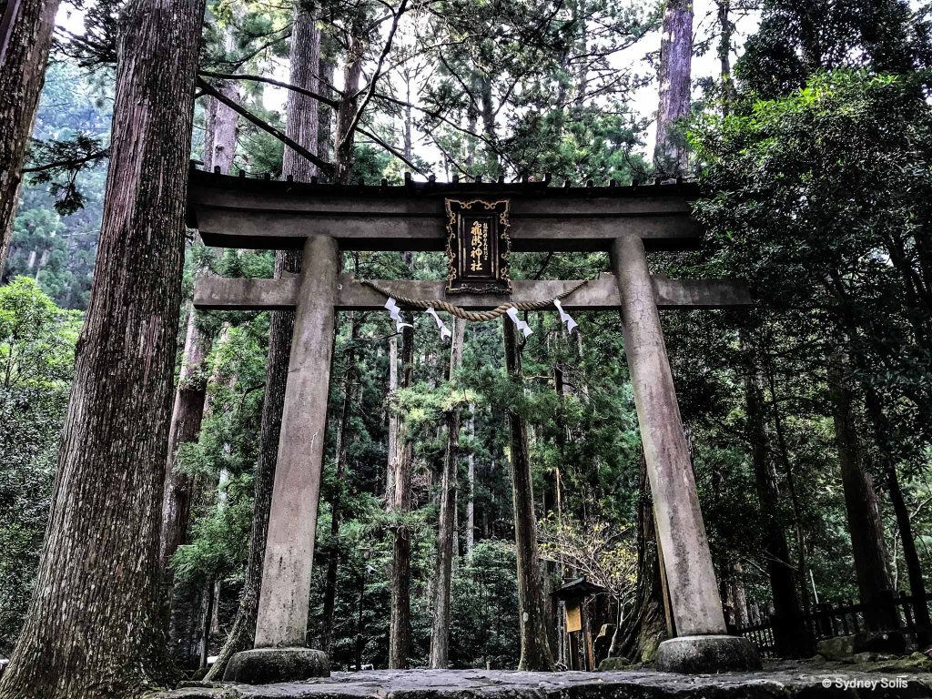 Torii Gate leading to Nachi Waterfall in Japan at the Hiro Jinja Shinto Shrine. Photo by Sydney Solis. 